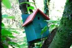 画像14: 【野鳥用巣箱：取り付け型】２色カラフルバードハウスA （前扉タイプ）（完成品）　お庭でバードウォッチング！ (14)