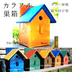 画像5: 【野鳥用巣箱：取り付け型】２色カラフルバードハウスA （前扉タイプ）（完成品）　お庭でバードウォッチング！ (5)