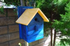 画像16: 【野鳥用巣箱：取り付け型】２色カラフルバードハウスA （前扉タイプ）（完成品）　お庭でバードウォッチング！ (16)