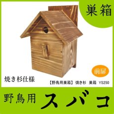 画像1: 【野鳥用巣箱】職人手作り　焼き杉 バードハウスA（前扉タイプ）巣箱(完成品) (1)