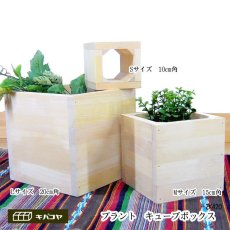 画像1: プラントキューブボックス （パイン材) [ZK420L] プランターカバー ガーデニング プランターカバー プランターボックス 植木鉢入れ 木製プランター (1)