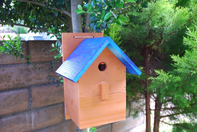 野鳥用巣箱：取り付け型】２色カラフルバードハウスA （前扉タイプ）（完成品） お庭でバードウォッチング！キバコヤ（木箱屋）公式オンラインショップ